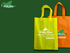 su-dung-tui-vai-khong-det-tung-buoc-nho-cho-tuong-lai-xanh